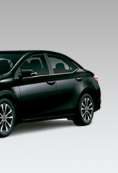 Corolla_Derecha_170x250px_A