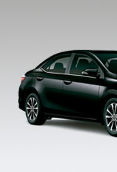 Corolla_Izquierda_170x250px_A